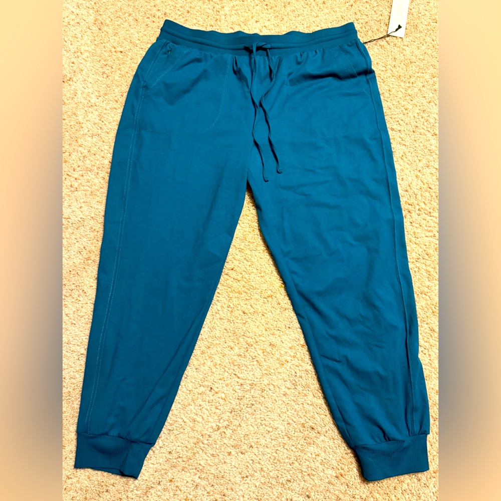 Teal joggers xl Rachel Zoe nwt